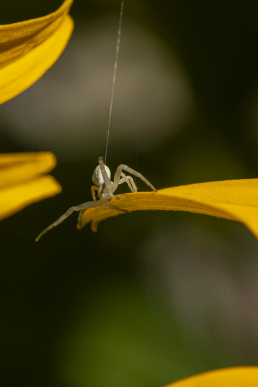 natural photography salzburg
