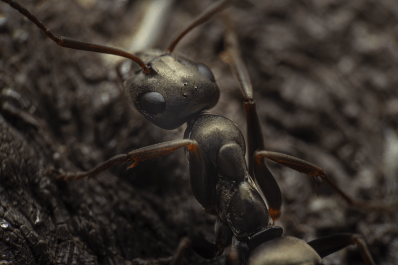 natural photography salzburg