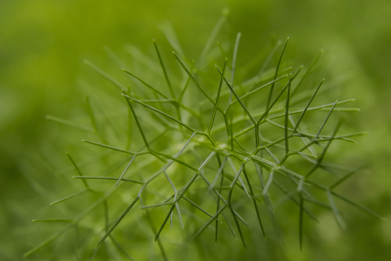 natürliche fotografie salzburg