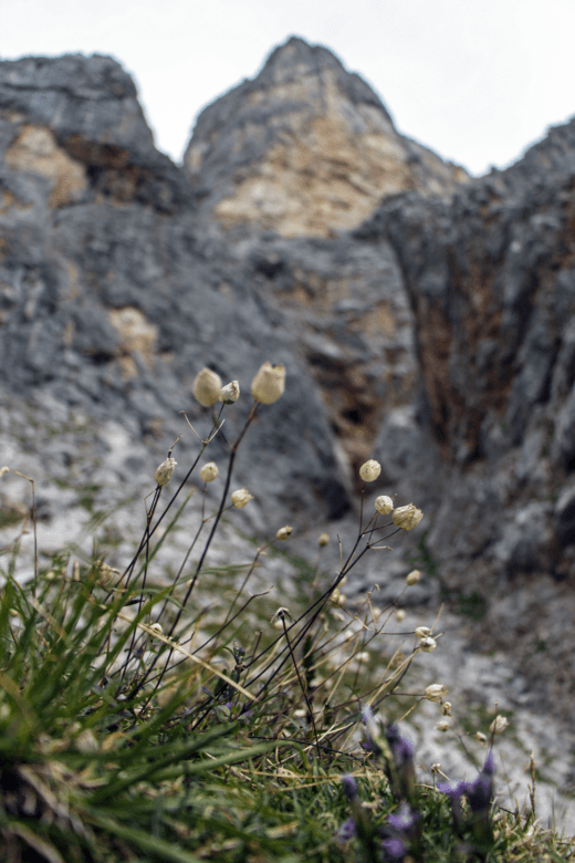 natürliche fotografie salzburg